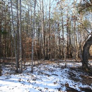 Photo #25 of TBA SLATE RIVER MILL RD, BUCKINGHAM, VA 2.2 acres