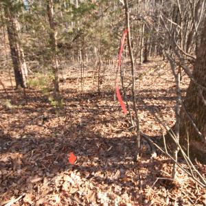 Photo #21 of TBA SLATE RIVER MILL RD, BUCKINGHAM, VA 2.2 acres