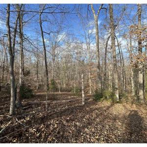 Photo #8 of FISHING CREEK LN, EARLYSVILLE, VA 7.1 acres