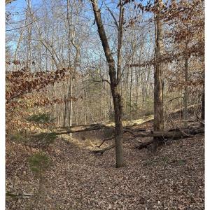 Photo #9 of FISHING CREEK LN, EARLYSVILLE, VA 7.1 acres