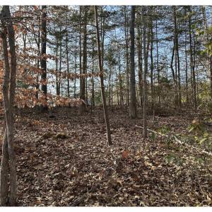 Photo #13 of FISHING CREEK LN, EARLYSVILLE, VA 7.1 acres