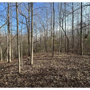 Photo #2 of FISHING CREEK LN, EARLYSVILLE, VA 7.1 acres