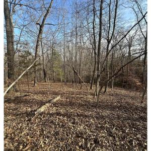 Photo #10 of FISHING CREEK LN, EARLYSVILLE, VA 7.1 acres