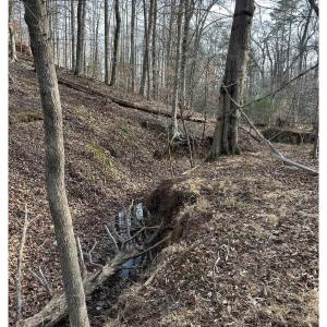 Photo #5 of FISHING CREEK LN, EARLYSVILLE, VA 7.1 acres