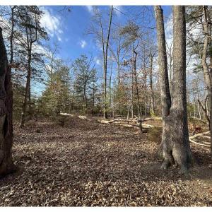 Photo #11 of FISHING CREEK LN, EARLYSVILLE, VA 7.1 acres