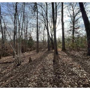 Photo #12 of FISHING CREEK LN, EARLYSVILLE, VA 7.1 acres