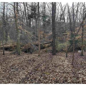 Photo #4 of FISHING CREEK LN, EARLYSVILLE, VA 7.1 acres