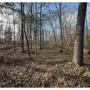 Photo #6 of FISHING CREEK LN, EARLYSVILLE, VA 7.1 acres