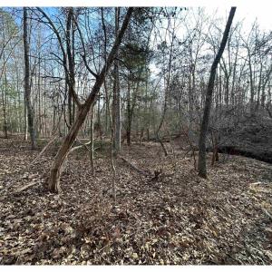 Photo #3 of FISHING CREEK LN, EARLYSVILLE, VA 7.1 acres