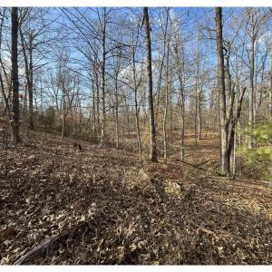 Photo #7 of FISHING CREEK LN, EARLYSVILLE, VA 7.1 acres