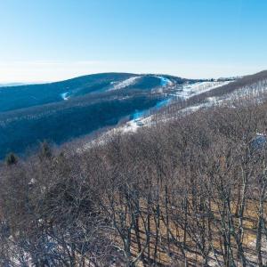 Photo #10 of 211 CHESTNUT PL, ROSELAND, VA 0.4 acres