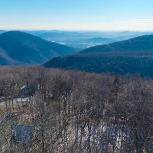 Photo #9 of 211 CHESTNUT PL, ROSELAND, VA 0.4 acres