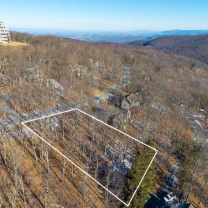 Photo #14 of 211 CHESTNUT PL, ROSELAND, VA 0.4 acres