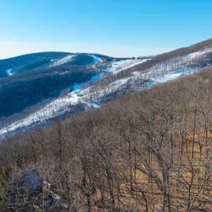 Photo #1 of 211 CHESTNUT PL, WINTERGREEN RESORT, VA 0.4 acres