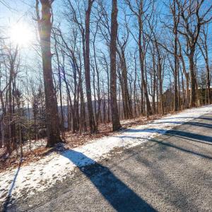 Photo #8 of 211 CHESTNUT PL, WINTERGREEN RESORT, VA 0.4 acres