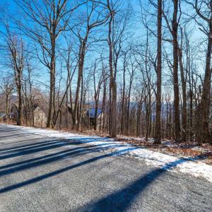 Photo #11 of 211 CHESTNUT PL, WINTERGREEN RESORT, VA 0.4 acres