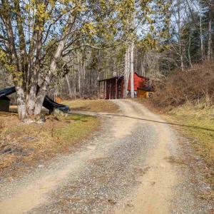 Photo #14 of 595 DEERFIELD VALLEY RD, WEST AUGUSTA, VA 217.5 acres