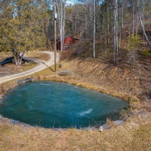 Photo #11 of 595 DEERFIELD VALLEY RD, WEST AUGUSTA, VA 217.5 acres