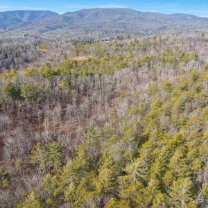 Photo #6 of 595 DEERFIELD VALLEY RD, WEST AUGUSTA, VA 217.5 acres