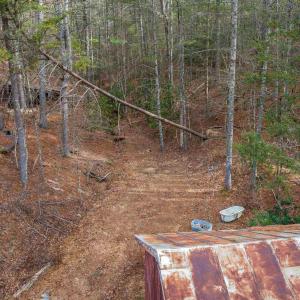 Photo #16 of 595 DEERFIELD VALLEY RD, WEST AUGUSTA, VA 217.5 acres