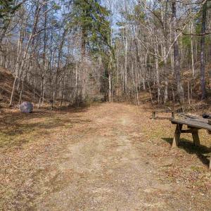 Photo #74 of 595 DEERFIELD VALLEY RD, WEST AUGUSTA, VA 217.5 acres