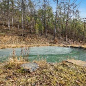 Photo #12 of 595 DEERFIELD VALLEY RD, WEST AUGUSTA, VA 217.5 acres