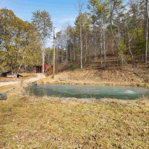 Photo #13 of 595 DEERFIELD VALLEY RD, WEST AUGUSTA, VA 217.5 acres