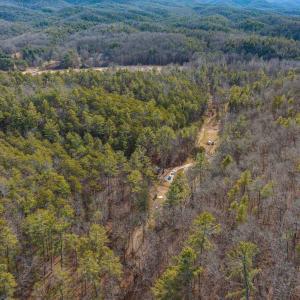 Photo #7 of 595 DEERFIELD VALLEY RD, WEST AUGUSTA, VA 217.5 acres