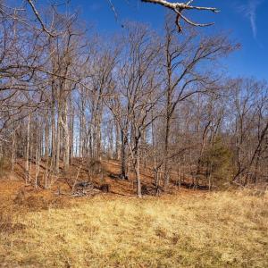 Photo #11 of SUMMIT CHURCH RD, MOUNT CRAWFORD, VA 6.9 acres