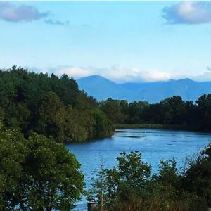 Photo #5 of 1.74 AC MASSANETTA SPRINGS RD, ROCKINGHAM, VA 1.7 acres