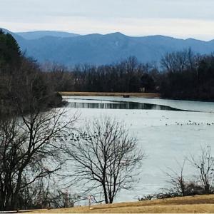 Photo #9 of 1.74 AC MASSANETTA SPRINGS RD, ROCKINGHAM, VA 1.7 acres