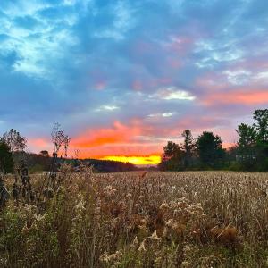 Photo #30 of 1.74 AC MASSANETTA SPRINGS RD, ROCKINGHAM, VA 1.7 acres