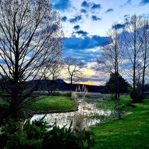 Photo #31 of 1.74 AC MASSANETTA SPRINGS RD, ROCKINGHAM, VA 1.7 acres