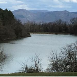 Photo #21 of 1.74 AC MASSANETTA SPRINGS RD, ROCKINGHAM, VA 1.7 acres