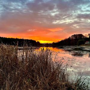 Photo #27 of 1.74 AC MASSANETTA SPRINGS RD, ROCKINGHAM, VA 1.7 acres