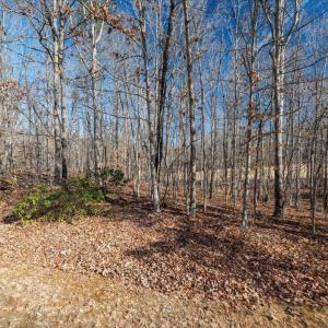Photo #19 of 277 OAKMONT DR, GORDONSVILLE, VA 0.4 acres