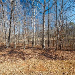 Photo #18 of 277 OAKMONT DR, GORDONSVILLE, VA 0.4 acres