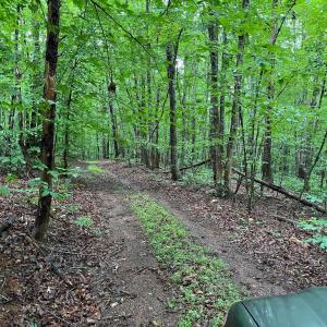 Photo #1 of HOWARDSVILLE TPKE, SCHUYLER, VA 21.0 acres