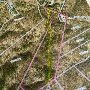 Photo #2 of OLD DOMINION RD, OLD DOMINION, VA 40.0 acres