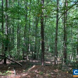 Photo #1 of OLD DOMINION RD, OLD DOMINION, VA 40.0 acres