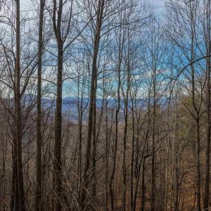 Photo #18 of TBD HENSLEY HOLLOW, ELKTON, VA 10.0 acres