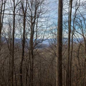Photo #19 of TBD HENSLEY HOLLOW, ELKTON, VA 10.0 acres