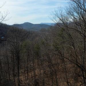 Photo #6 of TBD HENSLEY HOLLOW, ELKTON, VA 10.0 acres