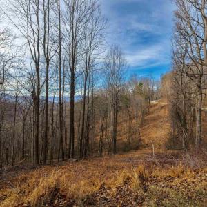 Photo #1 of TBD HENSLEY HOLLOW, ELKTON, VA 10.0 acres