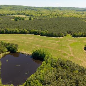 Photo #3 of 3644 HALIFAX RD, CHATHAM, VA 125.0 acres