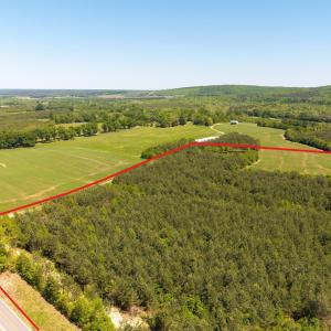 Photo #2 of 3644 HALIFAX RD, CHATHAM, VA 125.0 acres