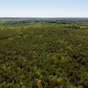 Photo #4 of 3644 HALIFAX RD, CHATHAM, VA 125.0 acres