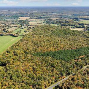 Photo #6 of Lot 4 COLES ROLLING RD, SCOTTSVILLE, VA 5.0 acres