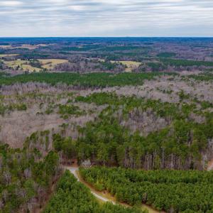 Photo #14 of Lot 1 PINEY GREEN RD, CREWE, VA 13.5 acres