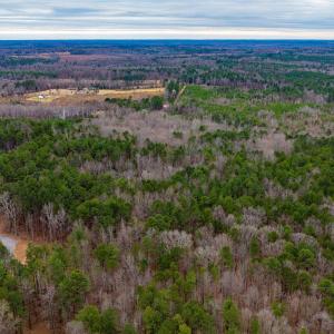 Photo #15 of Lot 1 PINEY GREEN RD, CREWE, VA 13.5 acres